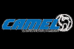 Camel car battery