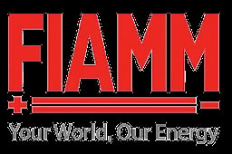 Fiamm car battery